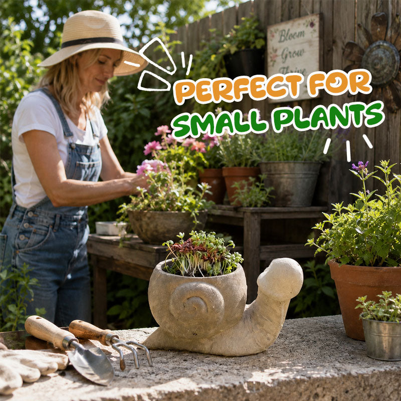 Fun garden planting pots