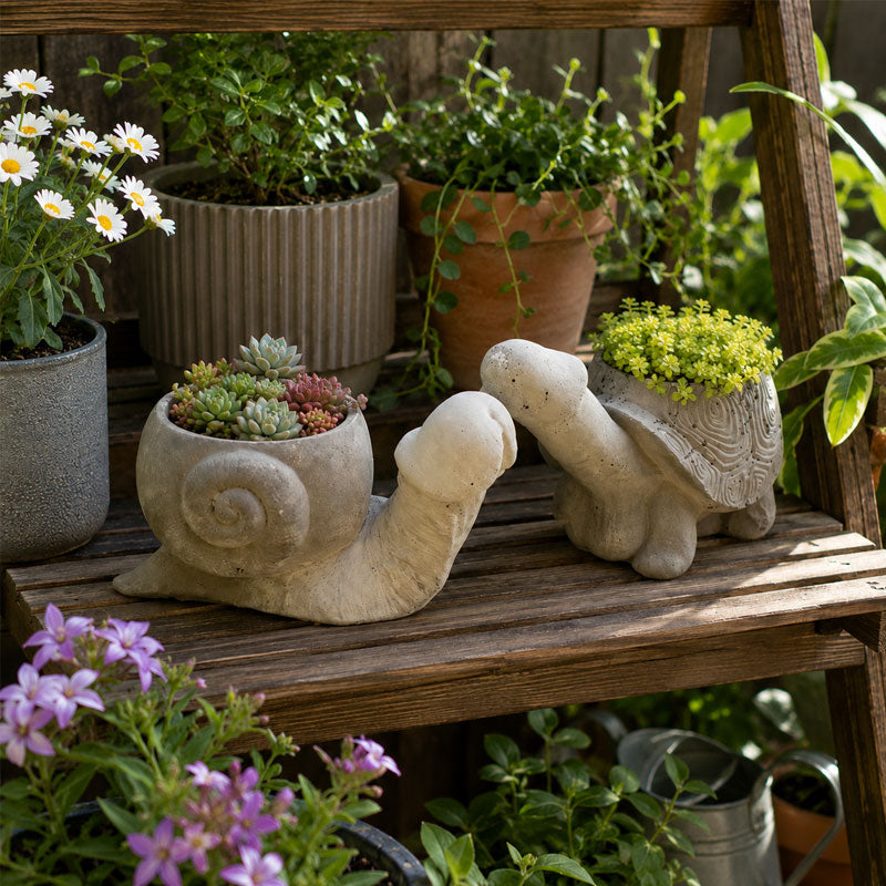Fun garden planting pots